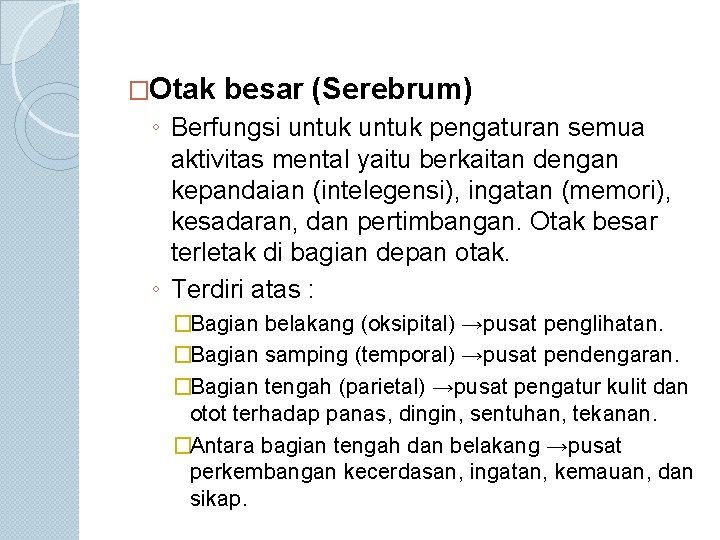 �Otak besar (Serebrum) ◦ Berfungsi untuk pengaturan semua aktivitas mental yaitu berkaitan dengan kepandaian