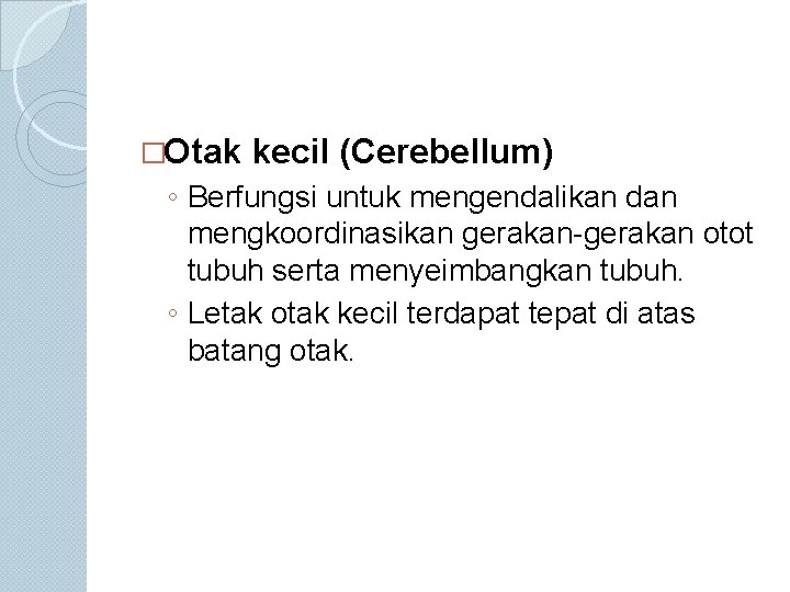 �Otak kecil (Cerebellum) ◦ Berfungsi untuk mengendalikan dan mengkoordinasikan gerakan-gerakan otot tubuh serta menyeimbangkan