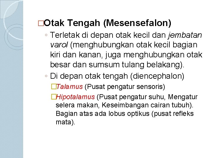 �Otak Tengah (Mesensefalon) ◦ Terletak di depan otak kecil dan jembatan varol (menghubungkan otak