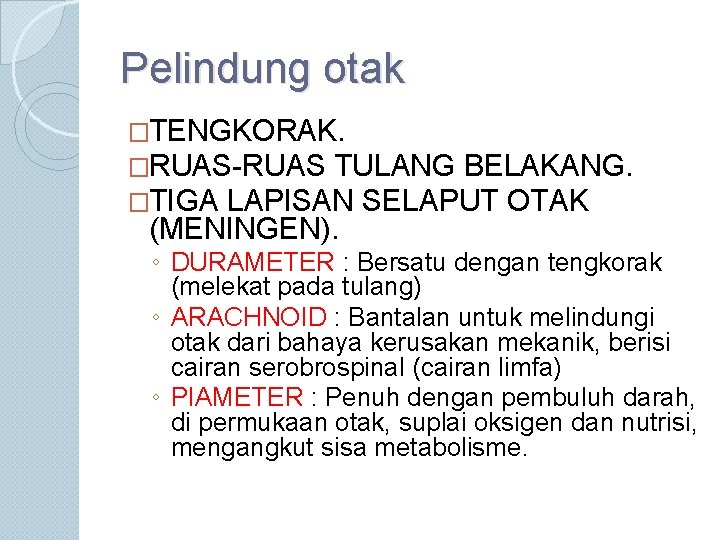 Pelindung otak �TENGKORAK. �RUAS-RUAS TULANG BELAKANG. �TIGA LAPISAN SELAPUT OTAK (MENINGEN). ◦ DURAMETER :