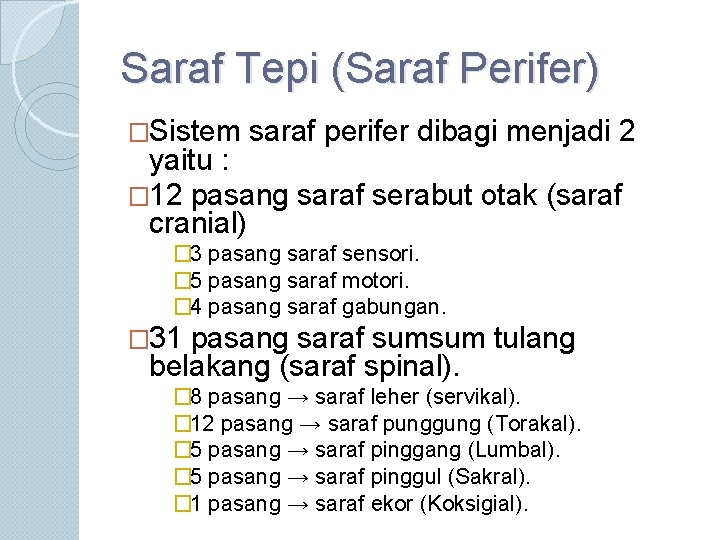 Saraf Tepi (Saraf Perifer) �Sistem saraf perifer dibagi menjadi 2 yaitu : � 12