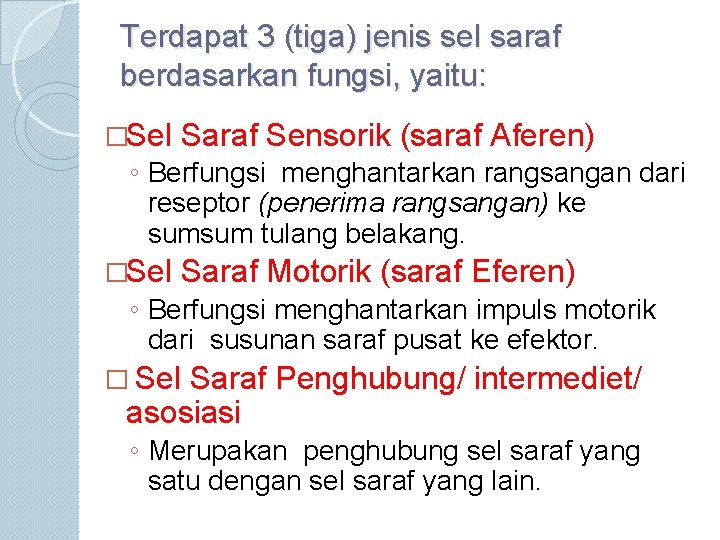 Terdapat 3 (tiga) jenis sel saraf berdasarkan fungsi, yaitu: �Sel Saraf Sensorik (saraf Aferen)