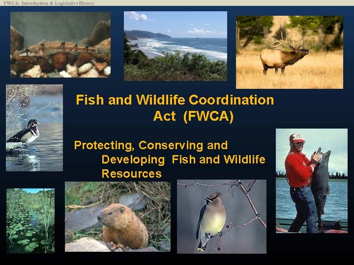 Fish and Wildlife Coordination Act (FWCA) Protecting, Conserving and Developing Fish and Wildlife Resources