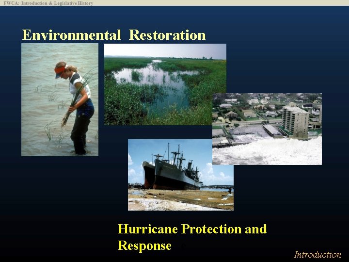 Environmental Restoration Hurricane Protection and Response e Introduction 