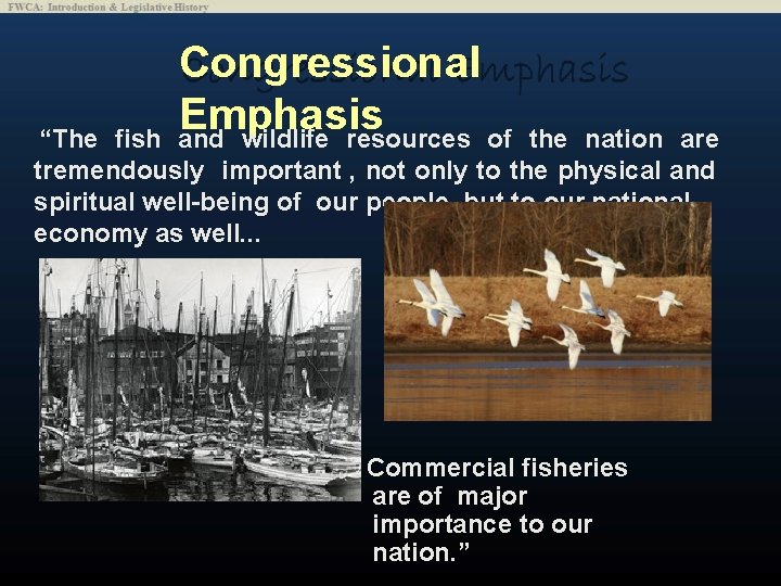 Congressional Emphasis and wildlife resources of “The fish the nation are tremendously important ,