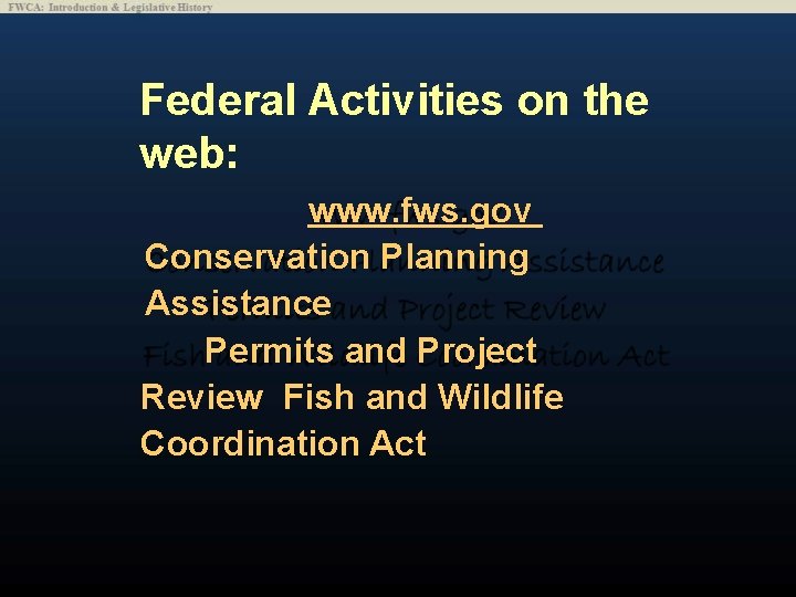 Federal Activities on the web: www. fws. gov Conservation Planning Assistance Permits and Project