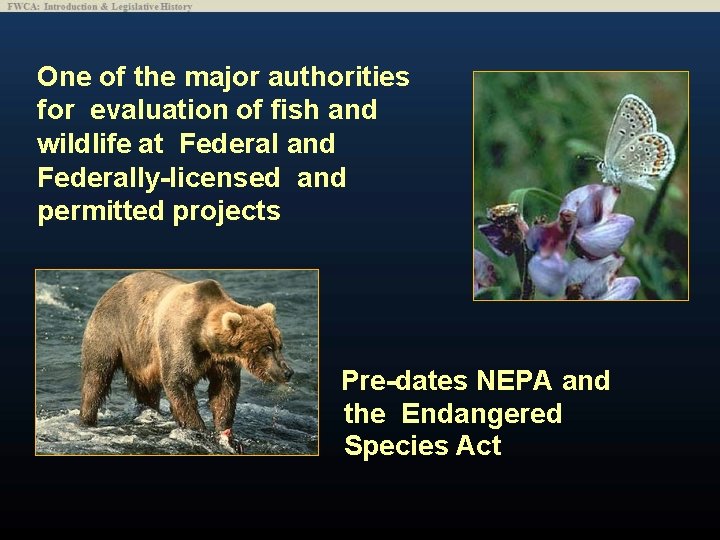 One of the major authorities for evaluation of fish and wildlife at Federal and