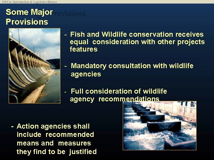 Some Major Provisions - Fish and Wildlife conservation receives equal consideration with other projects