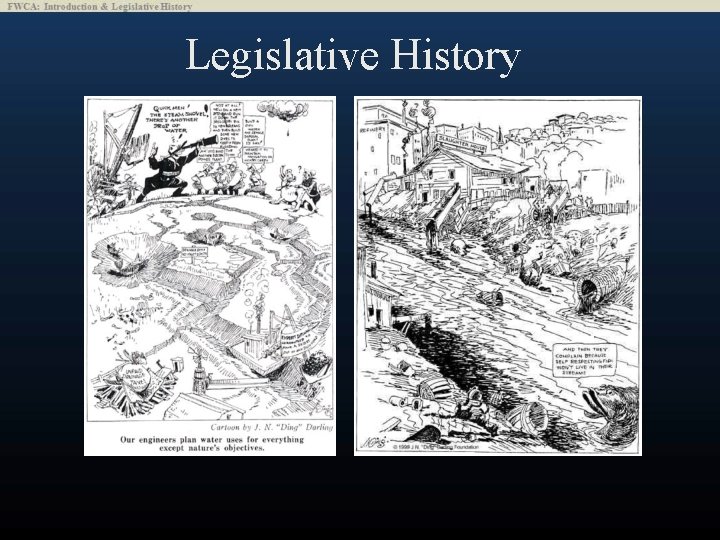 Legislative History 
