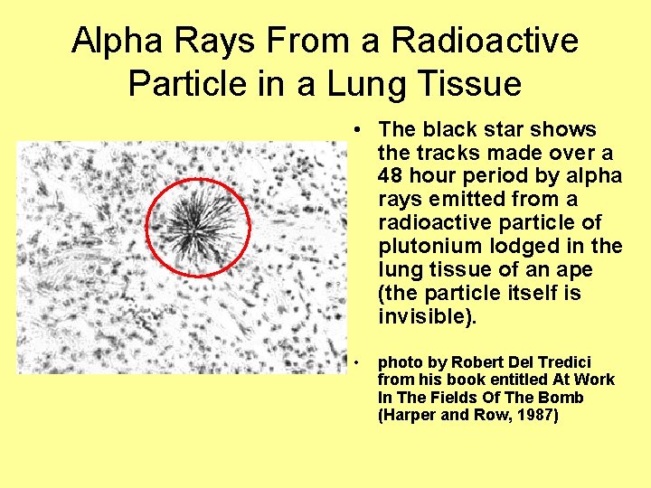 Alpha Rays From a Radioactive Particle in a Lung Tissue • The black star