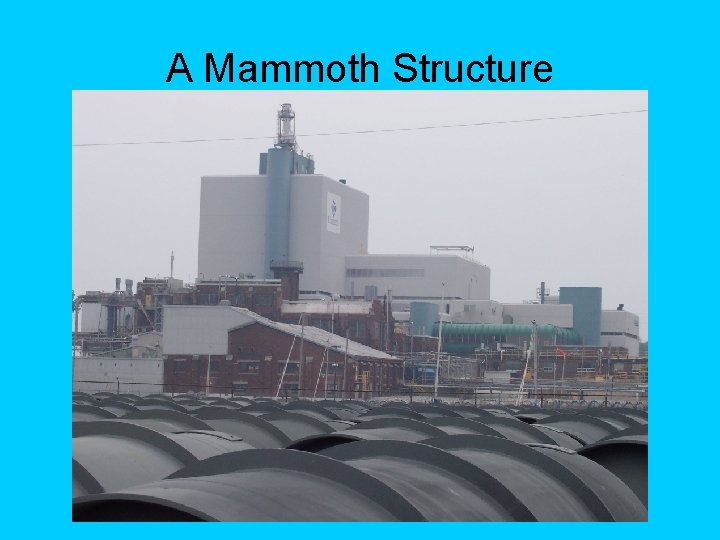 A Mammoth Structure 