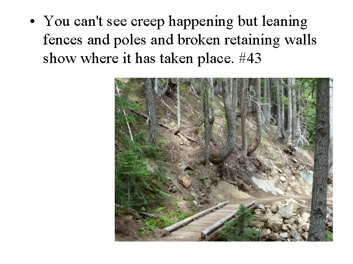  • You can't see creep happening but leaning fences and poles and broken