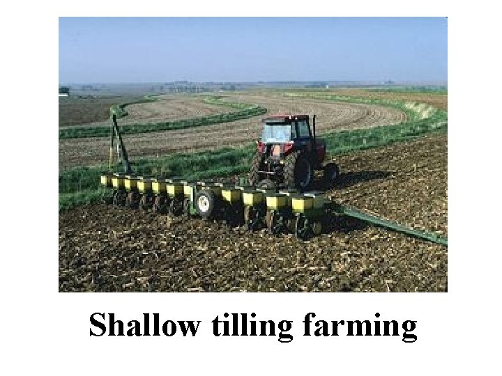 Shallow tilling farming 