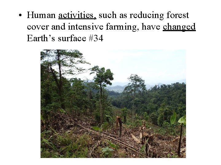 • Human activities, such as reducing forest cover and intensive farming, have changed