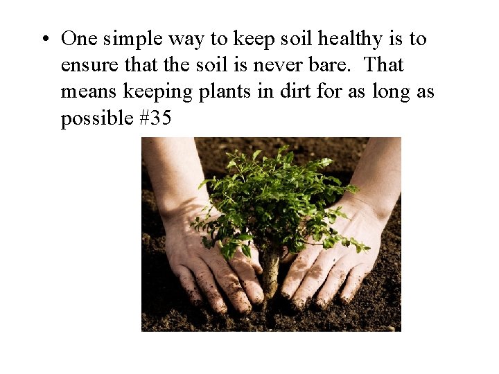  • One simple way to keep soil healthy is to ensure that the