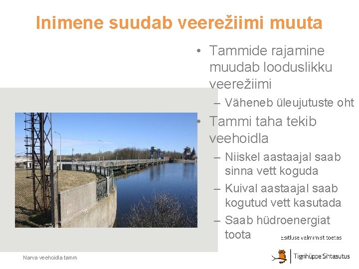Inimene suudab veerežiimi muuta • Tammide rajamine muudab looduslikku veerežiimi – Väheneb üleujutuste oht