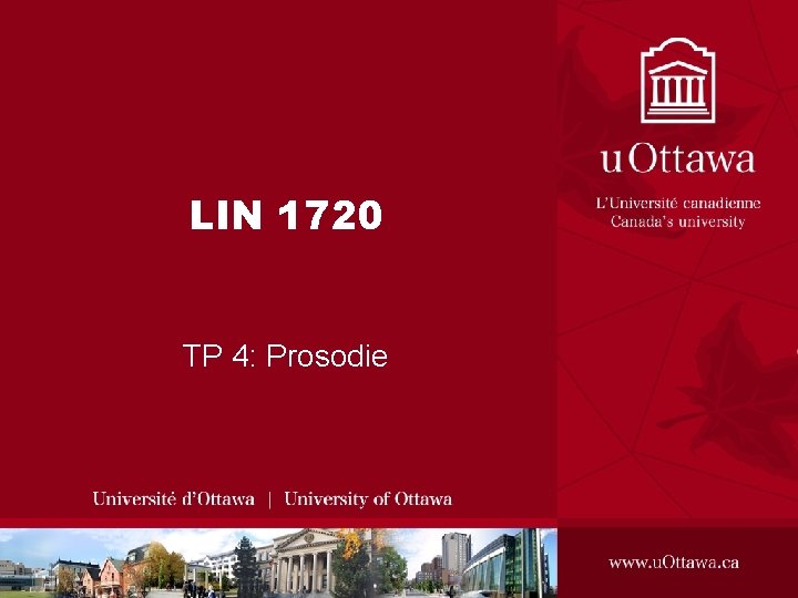 LIN 1720 TP 4: Prosodie 