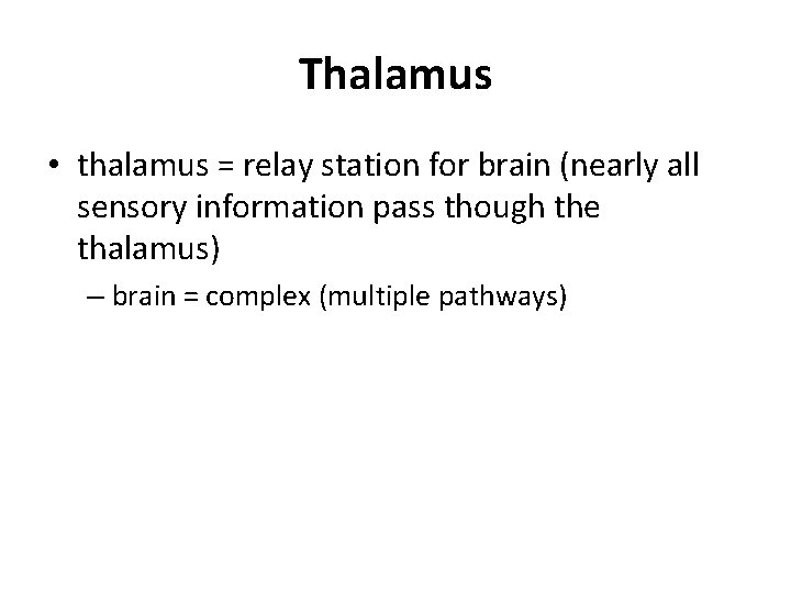 Thalamus • thalamus = relay station for brain (nearly all sensory information pass though