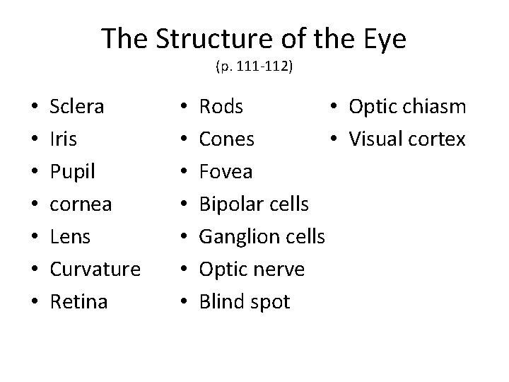 The Structure of the Eye (p. 111 -112) • • Sclera Iris Pupil cornea
