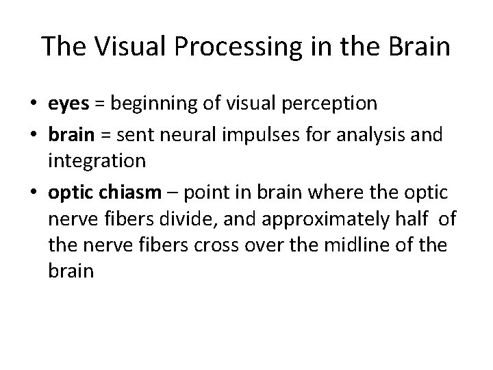 The Visual Processing in the Brain • eyes = beginning of visual perception •