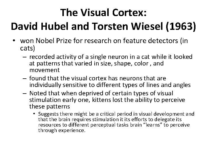 The Visual Cortex: David Hubel and Torsten Wiesel (1963) • won Nobel Prize for