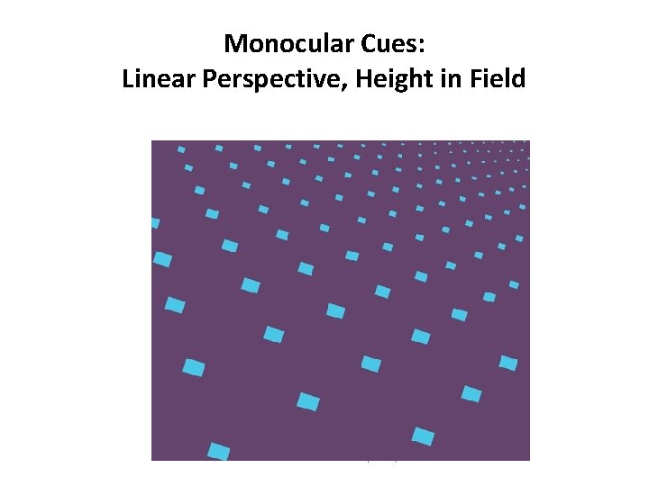 Monocular Cues: Linear Perspective, Height in Field © 2011 The Mc. Graw-Hill Companies, Inc.