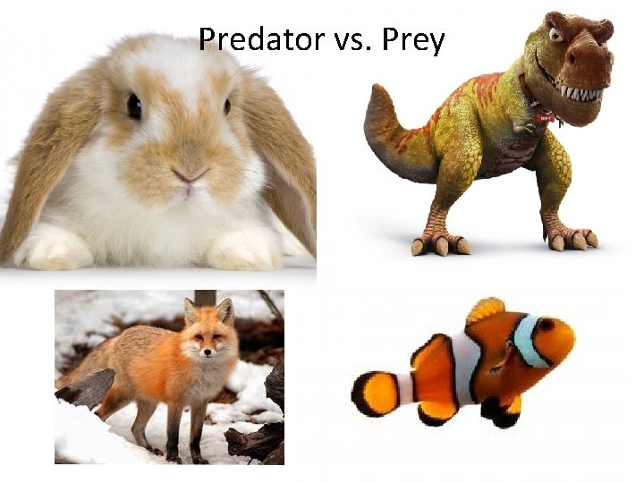 Predator vs. Prey 