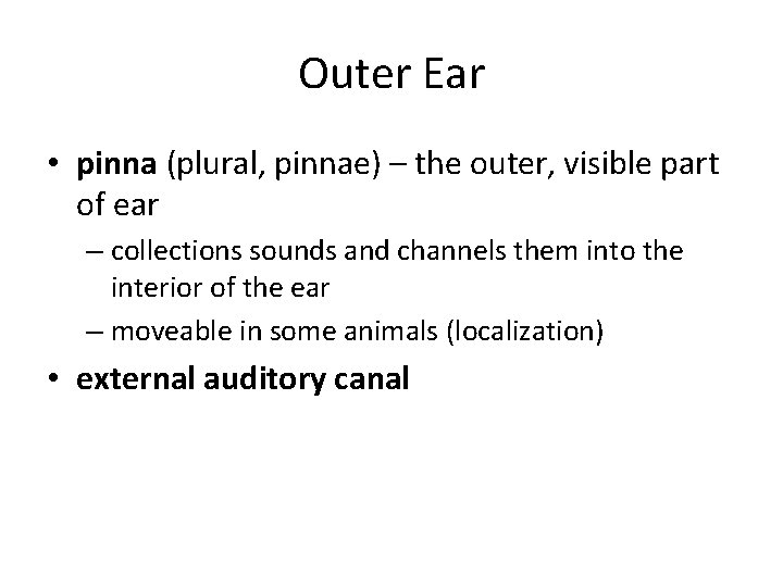 Outer Ear • pinna (plural, pinnae) – the outer, visible part of ear –