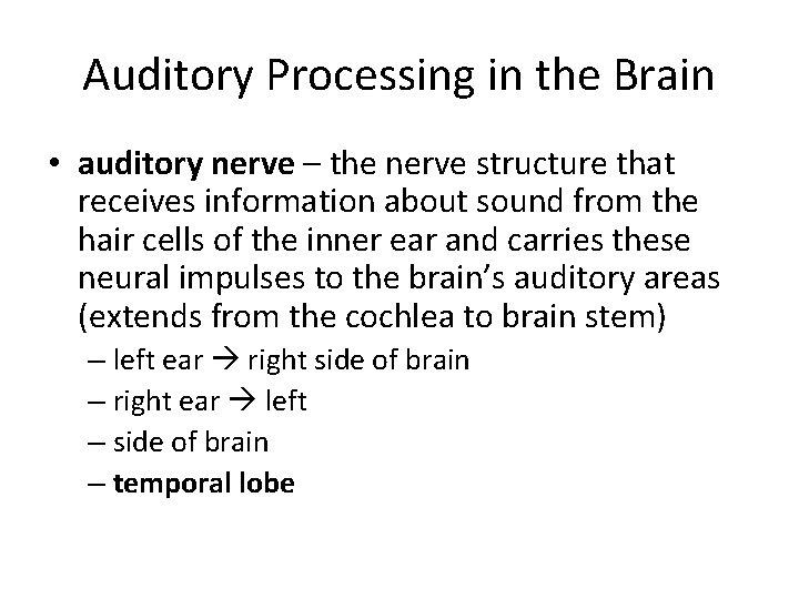 Auditory Processing in the Brain • auditory nerve – the nerve structure that receives