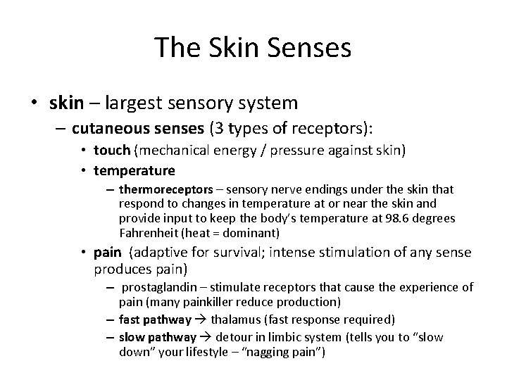 The Skin Senses • skin – largest sensory system – cutaneous senses (3 types