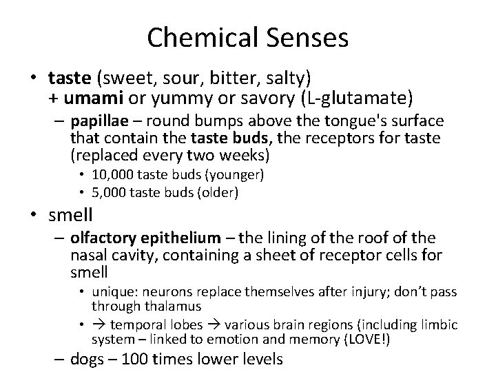 Chemical Senses • taste (sweet, sour, bitter, salty) + umami or yummy or savory