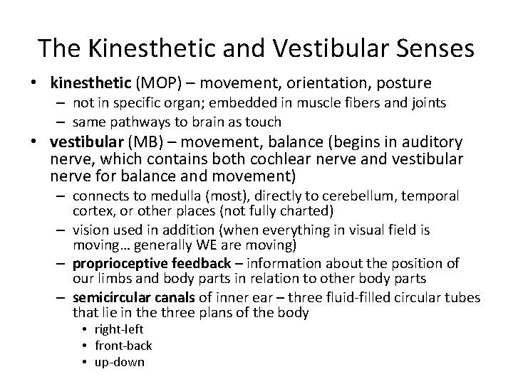 The Kinesthetic and Vestibular Senses • kinesthetic (MOP) – movement, orientation, posture – not