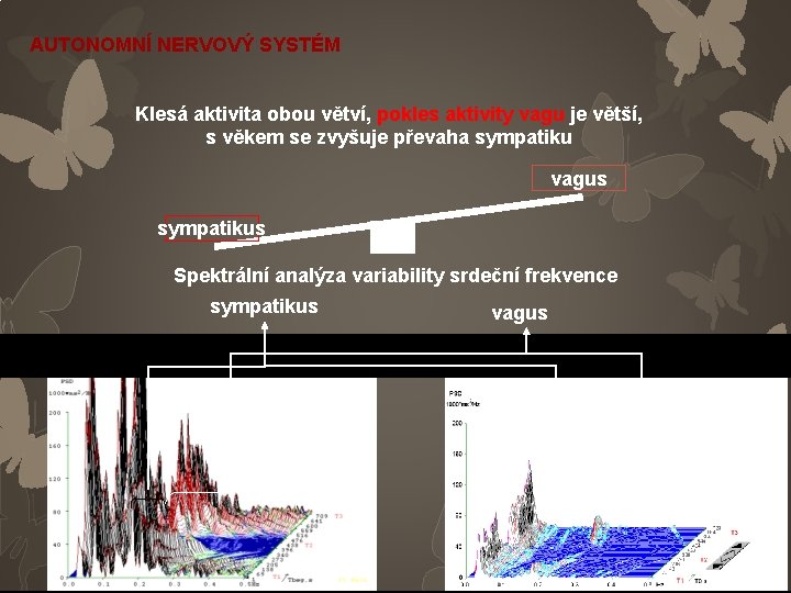 AUTONOMNÍ NERVOVÝ SYSTÉM Klesá aktivita obou větví, pokles aktivity vagu je větší, s věkem