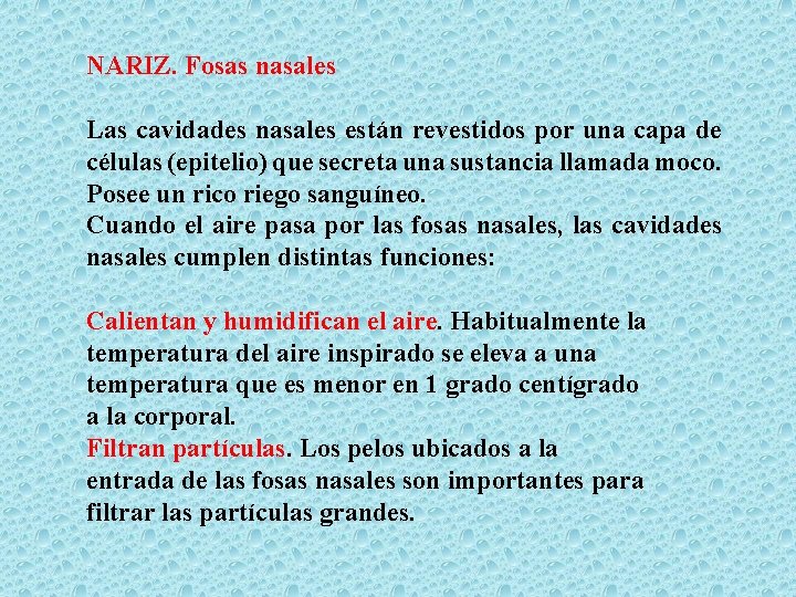 NARIZ. Fosas nasales Las cavidades nasales están revestidos por una capa de células (epitelio)