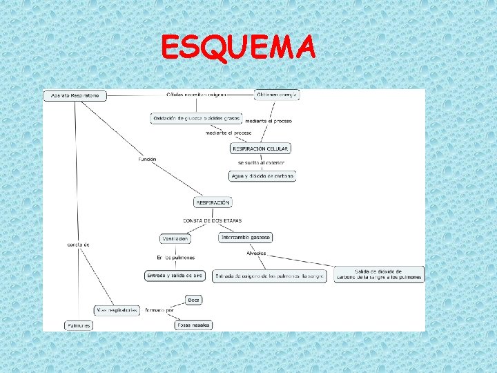 ESQUEMA 