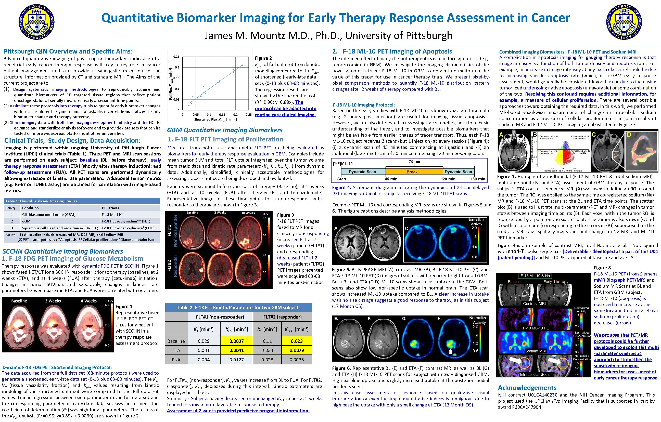 Quantitative Biomarker Imaging for Early Therapy Response Assessment in Cancer James M. Mountz M.