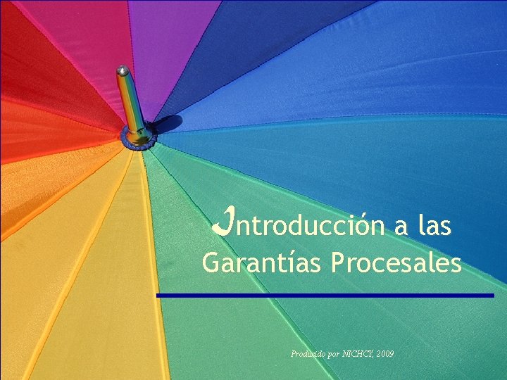 Introducción a las Garantías Procesales Producido por NICHCY, 2009 