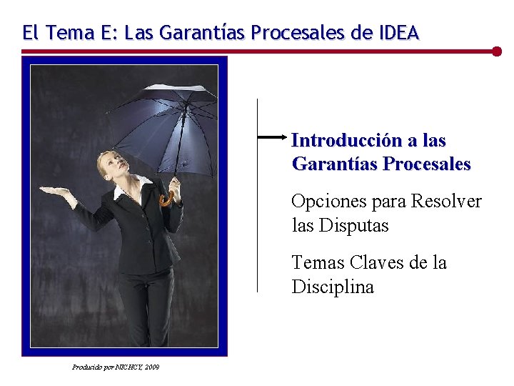 El Tema E: Las Garantías Procesales de IDEA Introducción a las Garantías Procesales Opciones