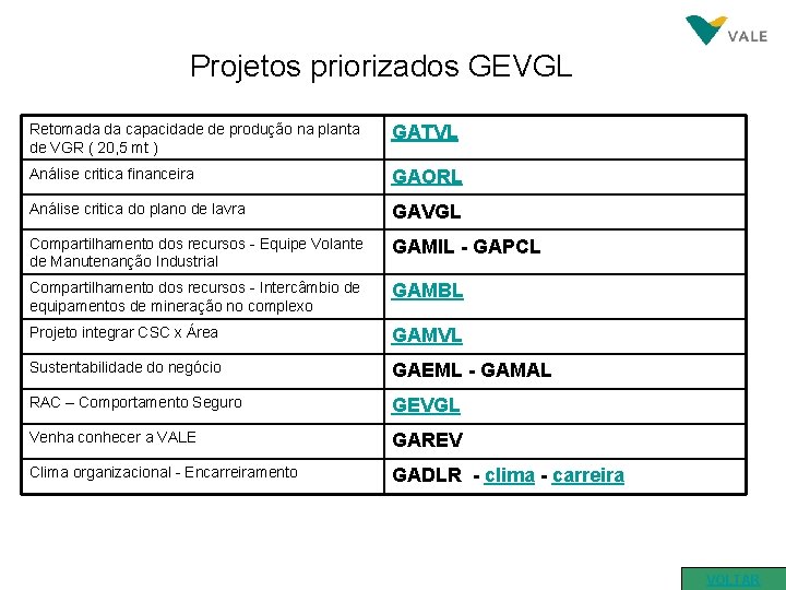 Projetos priorizados GEVGL Retomada da capacidade de produção na planta de VGR ( 20,