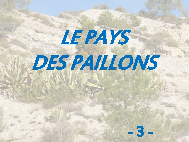 LE PAYS DES PAILLONS -3 - 