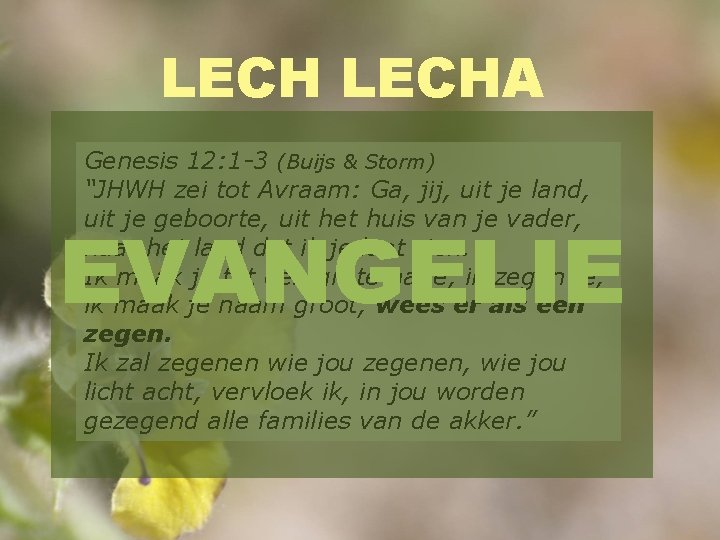 LECHA Genesis 12: 1 -3 (Buijs & Storm) “JHWH zei tot Avraam: Ga, jij,