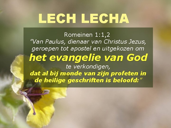 LECHA Romeinen 1: 1, 2 ”Van Paulus, dienaar van Christus Jezus, geroepen tot apostel