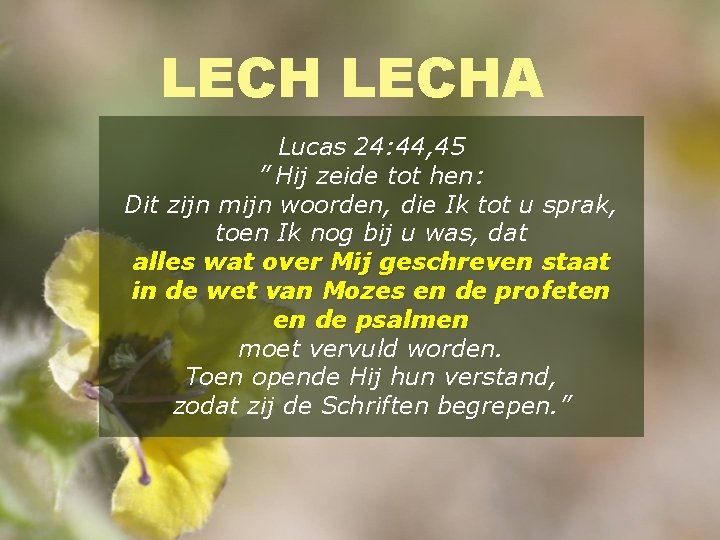 LECHA Lucas 24: 44, 45 ” Hij zeide tot hen: Dit zijn mijn woorden,