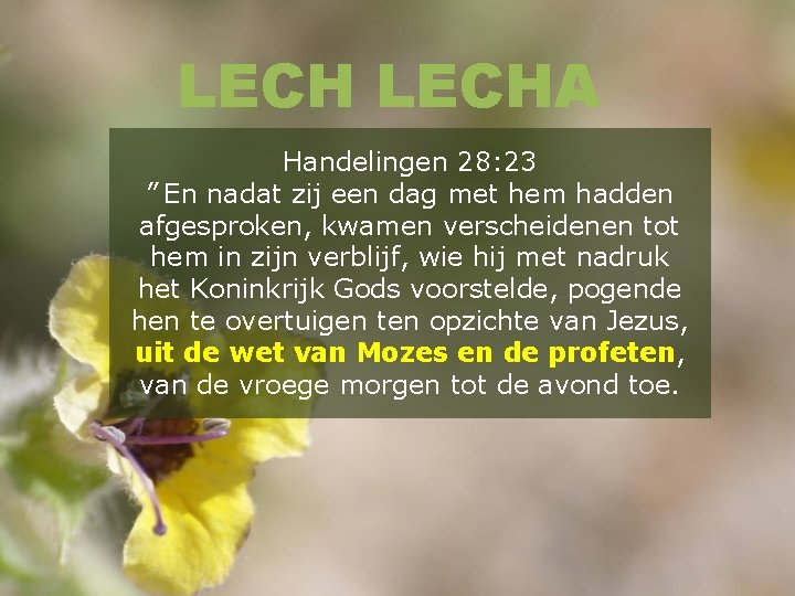 LECHA Handelingen 28: 23 ” En nadat zij een dag met hem hadden afgesproken,