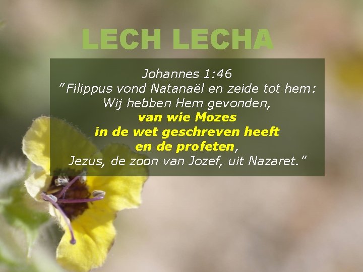 LECHA Johannes 1: 46 ” Filippus vond Natanaël en zeide tot hem: Wij hebben