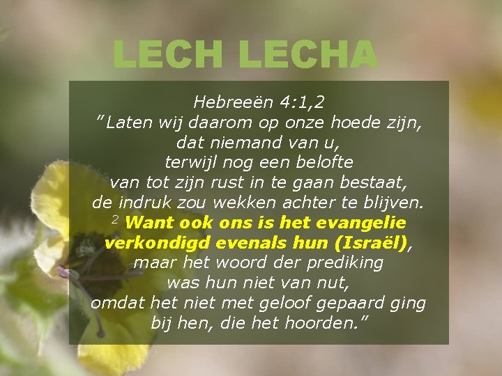 LECHA Hebreeën 4: 1, 2 ” Laten wij daarom op onze hoede zijn, dat