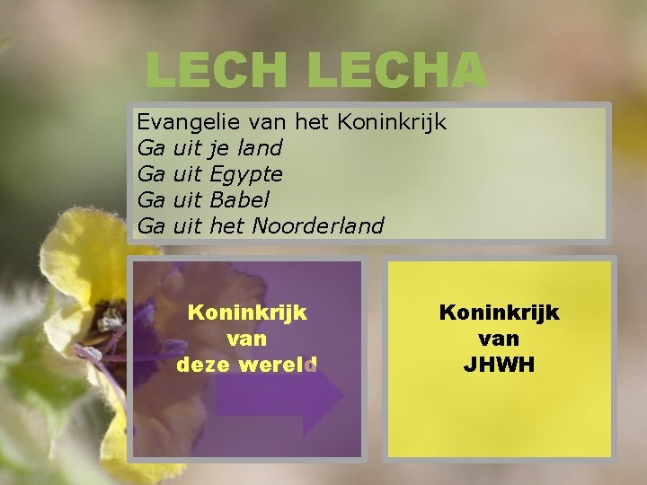 LECHA Evangelie van het Koninkrijk Ga uit je land Ga uit Egypte Ga uit