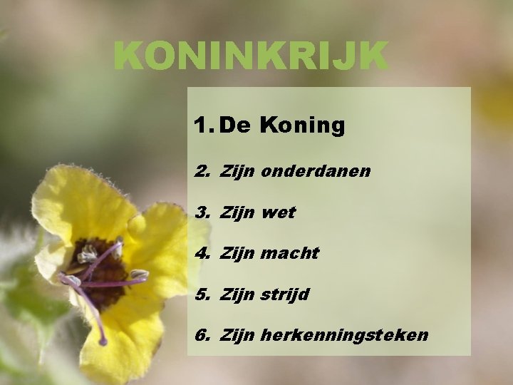 KONINKRIJK 1. De Koning 2. Zijn onderdanen 3. Zijn wet 4. Zijn macht 5.