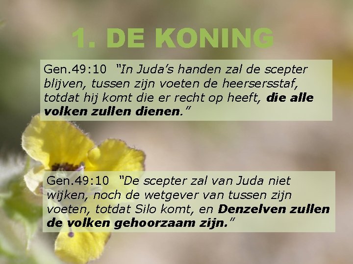 1. DE KONING Gen. 49: 10 “In Juda’s handen zal de scepter blijven, tussen