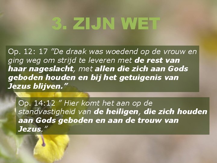 3. ZIJN WET Op. 12: 17 ”De draak was woedend op de vrouw en